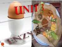 11 Unit 3 (1).pdf